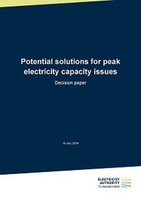 Decision paper: Potential solutions for peak electricity capacity issues