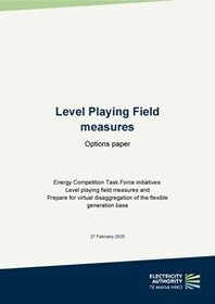 Level playing field measures - options paper