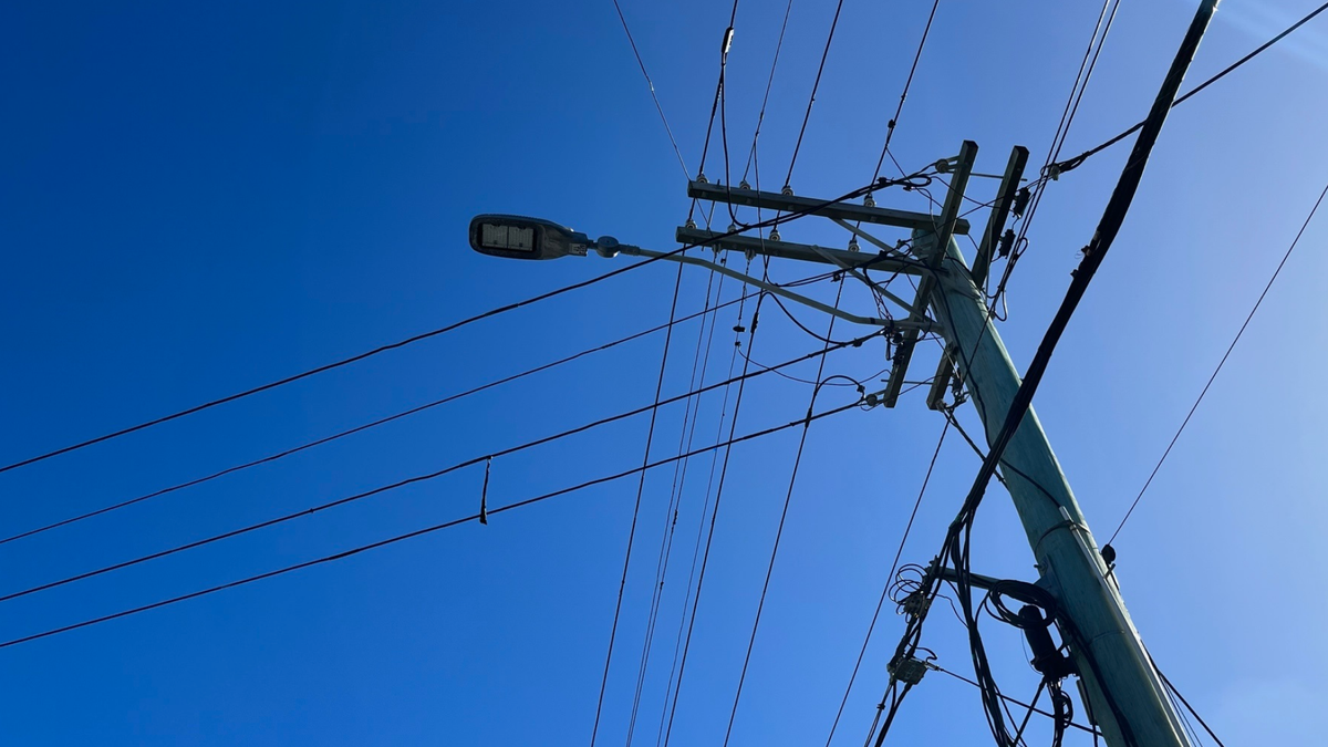 Distribution | Electricity Authority