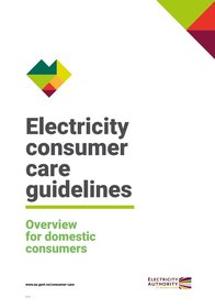 Consumer care guidelines - for domestic consumers
