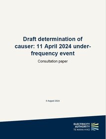 Draft determination of causer - 11 April 2024 UFE - consultation paper